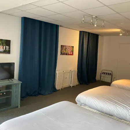 Aigle D'or Hotel 3*
